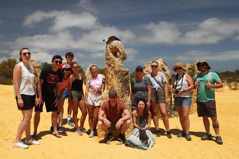 Pinnacles Sunset Dinner And Wildlife Experience A Small Group Tour - Attractions Perth 2
