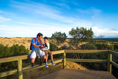 Pinnacles Sunset Dinner And Wildlife Experience A Small Group Tour - Attractions Perth 4