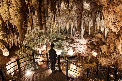 Pinnacles Sunset Dinner And Wildlife Experience A Small Group Tour - Attractions Perth 12