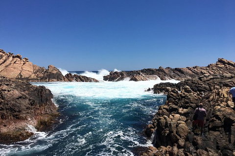 Private Margaret River And Busselton Day Trip From Perth - Attractions Perth 1