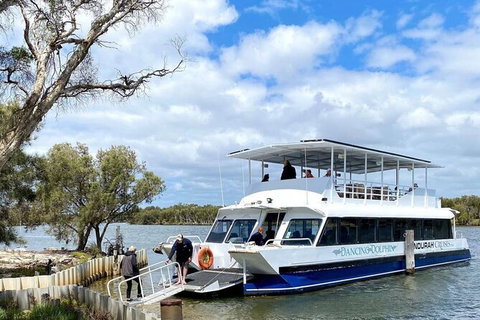 Murray River Lunch Cruise - Attractions Perth 7