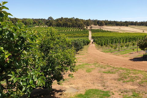 Half-Day Swan Valley Walk & Fruit Orchard - Attractions Perth 7