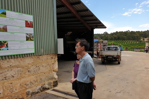Half-Day Swan Valley Walk & Fruit Orchard - Attractions Perth 4