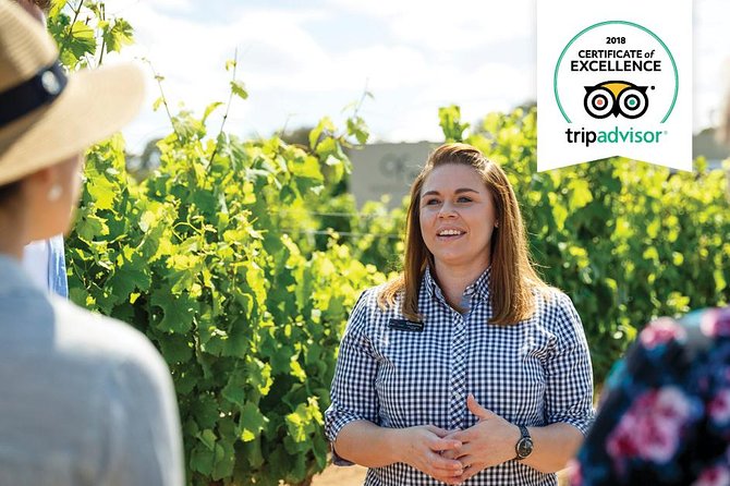 Swan Valley Wine Adventure - Half Day Premium Boutique Winery Tour Perth