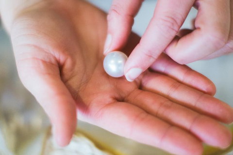 Harvest Your Own Pearl Private Experience - Perth - Attractions Perth 5