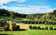 Small-Group Bickley Valley Wine Tour - thumb 1