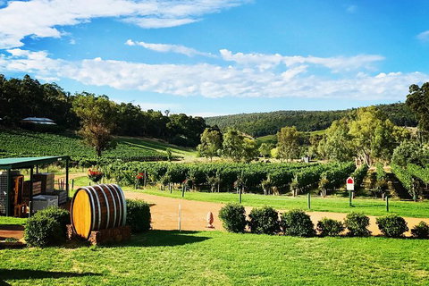 Small-Group Bickley Valley Wine Tour - Attractions Perth 4