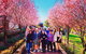 Small-Group Bickley Valley Wine Tour - thumb 10
