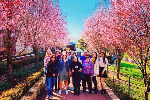 Small-Group Bickley Valley Wine Tour - Attractions Perth 10