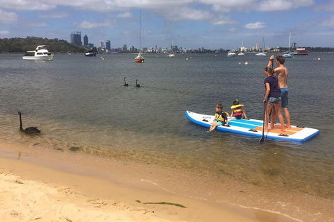 Stand Up Paddle Boarding - 2 Person Lesson - 1 Hour - Attractions Perth 8