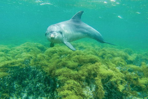 10 Day Perth To Adelaide - The Great Australian Wilderness Journey - Attractions Perth 20