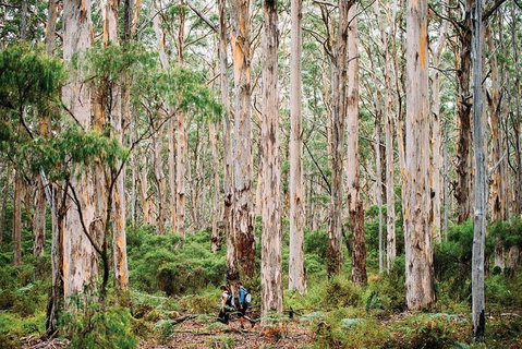 10 Day Perth To Adelaide - The Great Australian Wilderness Journey - Attractions Perth 18