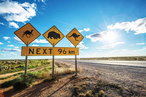 10 Day Perth To Adelaide - The Great Australian Wilderness Journey - Attractions Perth 17