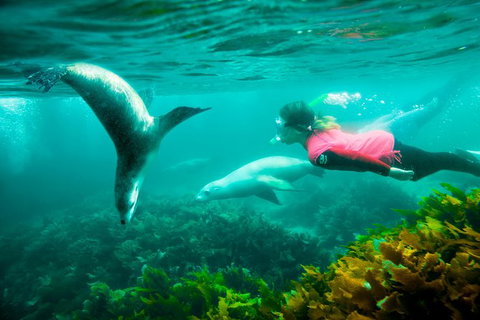 10 Day Perth To Adelaide - The Great Australian Wilderness Journey - Attractions Perth 25