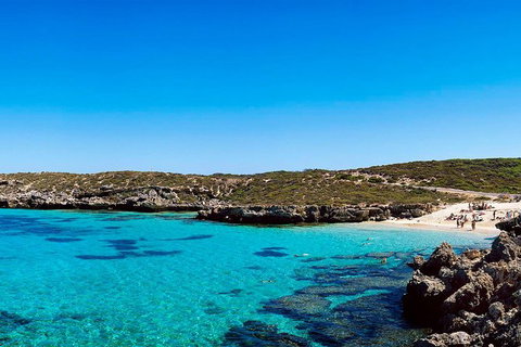 Rottnest Island Roundtrip Fast Ferry From Hillarys Boat Harbour - Attractions Perth 0