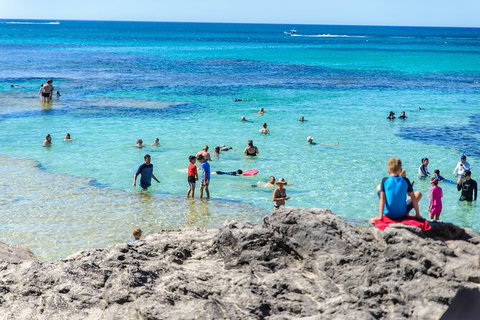 Rottnest Island Roundtrip Fast Ferry From Hillarys Boat Harbour - Attractions Perth 4