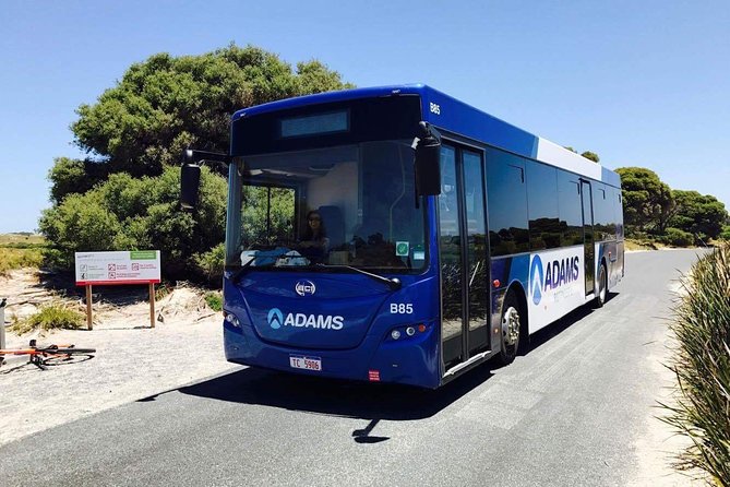 Rottnest Bayseeker Bus Tour from Hillarys Boat Harbour Perth