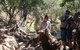 Windjana Gorge And Tunnel Creek 4WD Tour From Broome - thumb 4