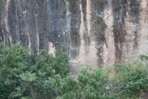 Windjana Gorge And Tunnel Creek 4WD Tour From Broome - Attractions Perth 2