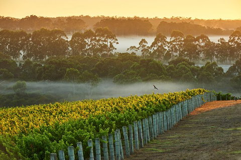 Cape Mentelle Behind The Scenes Tour - Attractions Perth 3