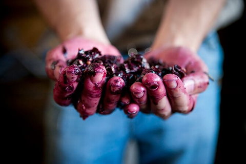 Cape Mentelle Behind The Scenes Tour With Food & Wine Pairing - Attractions Perth 7