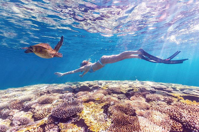 7-Day Exmouth Explorer via Pinnacles Monkey Mia Ningaloo Reef returning to Perth Perth