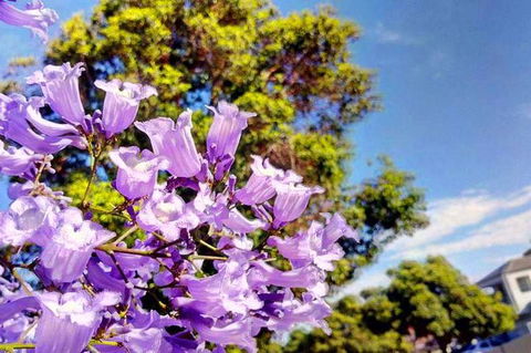 Big Perth (Private) Day Tour - Attractions Perth 19