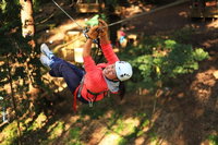 Trees Adventure Lane Poole Park - Treetop  Zipline Experience