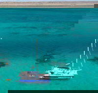 Whale Shark Swim by Catamaran in Shoulder Season - Attractions Perth
