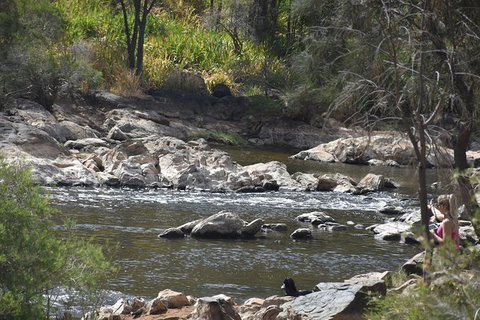 Private Swan Valley Tour By Luxury Vehicle From Perth - Attractions Perth 5