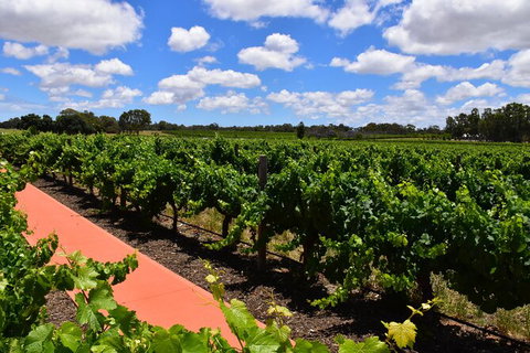 Private Swan Valley Tour By Luxury Vehicle From Perth - Attractions Perth 7
