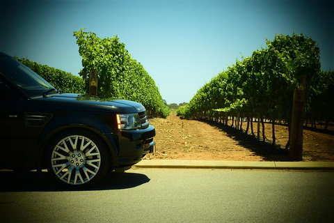 Private Swan Valley Tour By Luxury Vehicle From Perth - Attractions Perth 34