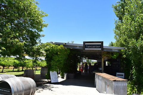 Private Swan Valley Tour By Luxury Vehicle From Perth - Attractions Perth 18