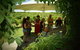 Private Swan Valley Tour By Luxury Vehicle From Perth - thumb 15
