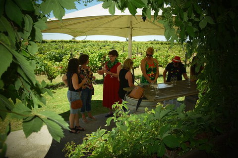 Private Swan Valley Tour By Luxury Vehicle From Perth - Attractions Perth 15