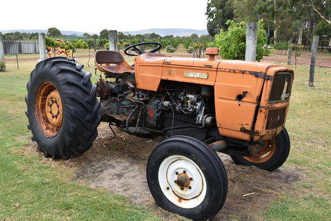 Private Swan Valley Tour By Luxury Vehicle From Perth - Attractions Perth 13