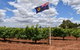 Private Swan Valley Tour By Luxury Vehicle From Perth - thumb 14