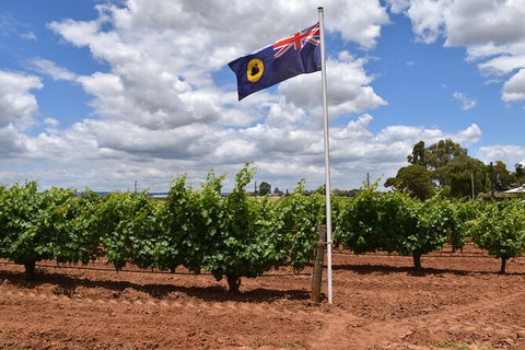 Private Swan Valley Tour By Luxury Vehicle From Perth - Attractions Perth 14
