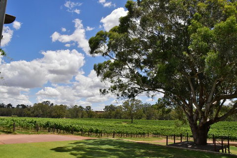 Private Swan Valley Tour By Luxury Vehicle From Perth - Attractions Perth 20