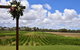 Private Swan Valley Tour By Luxury Vehicle From Perth - thumb 33