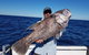 Deep Sea Fishing Charter From Perth - thumb 1