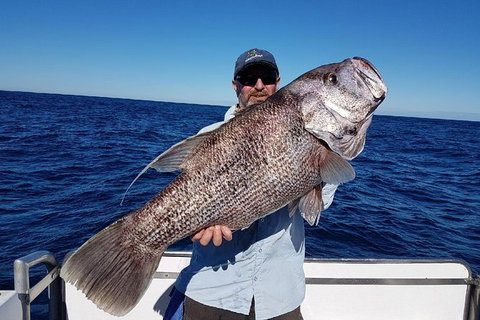 Deep Sea Fishing Charter From Perth - Attractions Perth 2