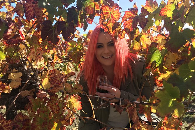 Swan Valley Winery Experience - Full Day Coach Tour Perth