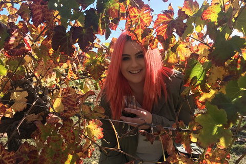 Swan Valley Winery Experience - Full Day Coach Tour - Attractions Perth 0
