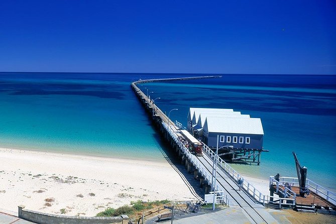 Full-Day Busselton Jetty Train Ride  Dophin Discovery Perth