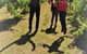 Full-Day Swan Valley, Wildlife Park, Winery & Fruit Orchard - thumb 2