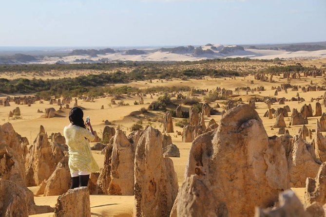 Full-Day Pinnacles Sandboarding and Yanchep National Park from Perth Perth