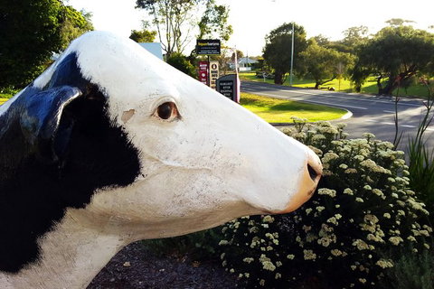Margaret River (Private) Day Tour - Attractions Perth 22