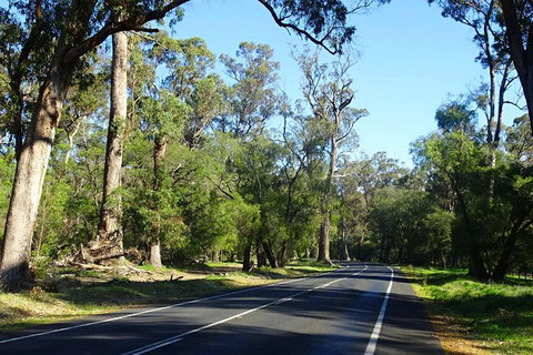 Margaret River (Private) Day Tour - Attractions Perth 12