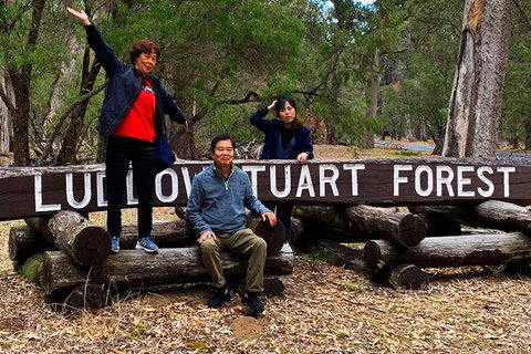 Margaret River (Private) Day Tour - Attractions Perth 21